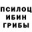 Псилоцибиновые грибы ЛСД Sanat Ramazonov